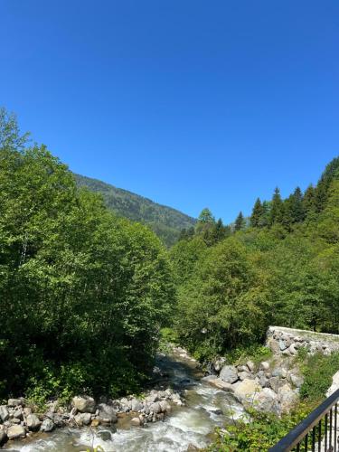 Gambar di galeri bagi 4M Ayder di Ayder Yaylasi