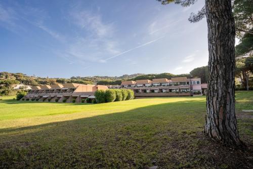 a tree in a field in front of a building at Residence Scoglietto 50 in Punta Ala