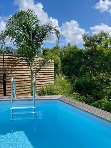 a swimming pool with a palm tree in the background at La Papaye d’Or in Saint-François