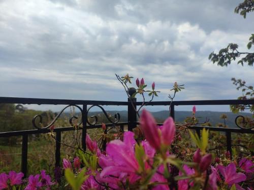 Fotografie z fotogalerie ubytování Christina's House - Neochori / Pelion v destinaci Neochori