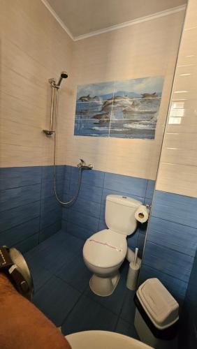 a bathroom with a toilet and a shower at Guest Rooms Kostovi in Nesebar