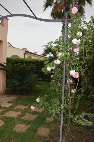 a plant with pink roses growing on a pole at Villa Marinella in Marinella di Selinunte