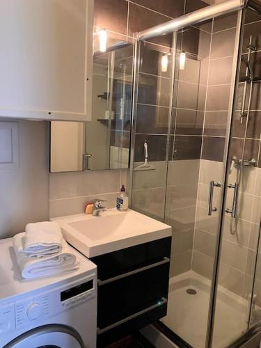 a bathroom with a shower and a sink and a washing machine at Appartement cosy tout équipé et parking couvert privé aux portes de Flers in Flers