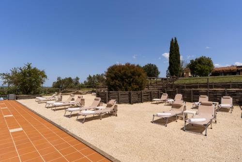 Gambar di galeri bagi Tenuta Fattoria Vecchia di Scansano