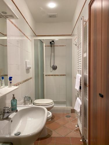 a bathroom with a sink and a toilet and a shower at Il Giardinetto di Pettorano in Pettorano sul Gizio