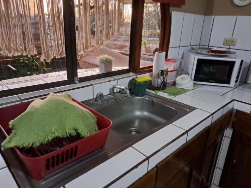 a kitchen sink with a pot of grass in it at Hospedaje Beliz in Liberia