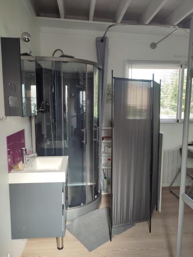 La salle de bains est pourvue d'une douche et d'un lavabo blanc. dans l'établissement Studio meublé 1 pièce entièrement équipé sans cloisons séparatives, à Chavagnes-en-Paillers