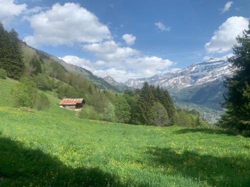 a green field with a house in the mountains at Chalet Plein Soleil - 100% Nature & authenticité in Vers L'Eglise