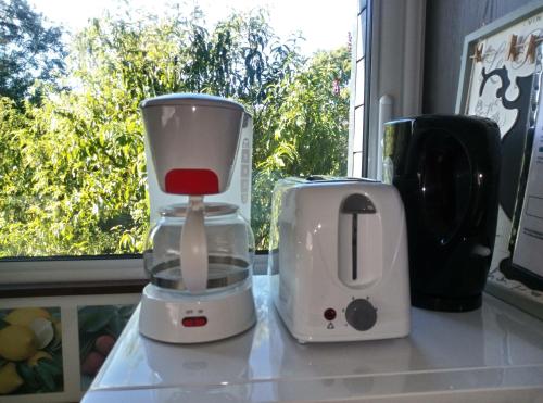 zwei Toaster auf einer Theke neben einem Fenster in der Unterkunft Studio meublé 1 pièce entièrement équipé sans cloisons séparatives in Chavagnes-en-Paillers