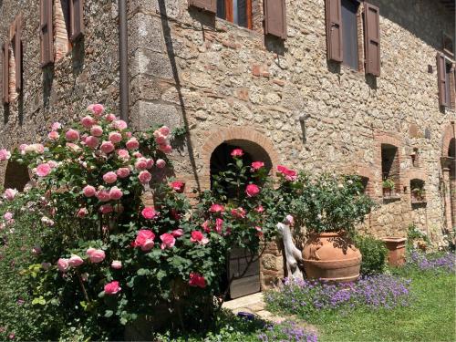 Foto dalla galleria di Agriturismo Il Caio a Cetona