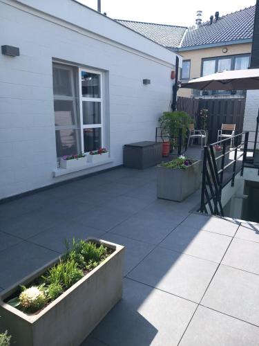 a patio with flowers and plants on a house at Touristflat Dewulf in Ghent