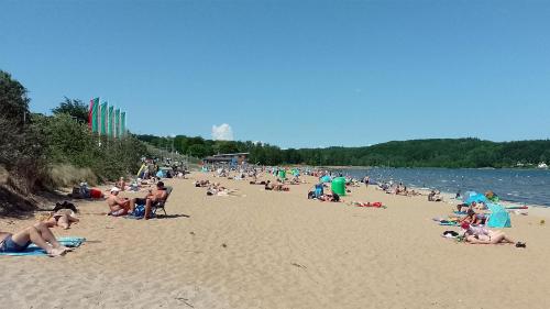 a large group of people on a beach at Sonnige Ferienwohnung I in Harrislee