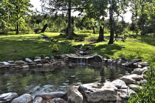 a pond with a waterfall in a park at Chata Baba Yaga in Ždiar