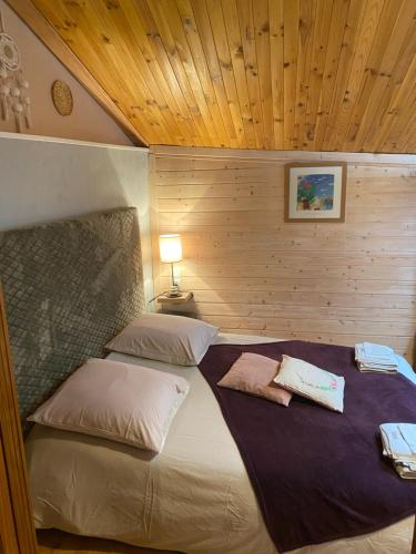 a bedroom with a large bed with a wooden ceiling at Gîte Le Cabanon in La Robine