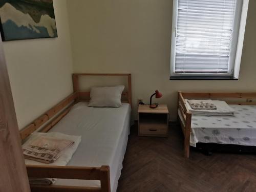 1 Schlafzimmer mit 2 Einzelbetten und einem Fenster in der Unterkunft Guesthouse Tzar Asen in Sofia