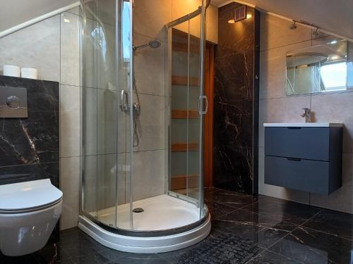 uma casa de banho com um chuveiro e um WC. em Apartament Sosnowa em Krasnobród