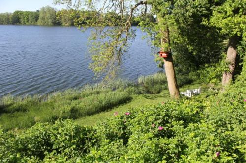 a view of a body of water with trees and flowers at Ferienhaus direkt am Schmalensee in Schmalensee