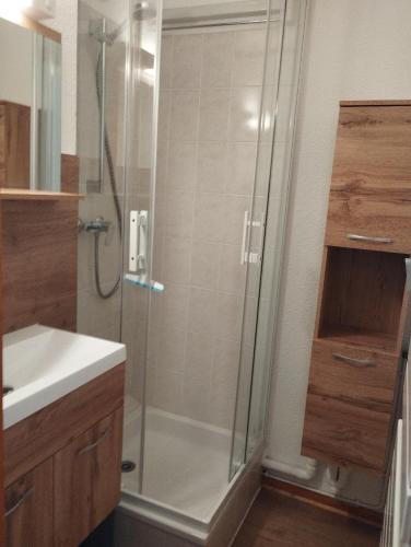 une salle de bain avec douche et lavabo dans l'établissement Charmant studio vu sur la montagne, à Le Biot