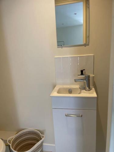 une salle de bain avec un lavabo blanc et un miroir dans l'établissement Le Petit-Beauvoisine, à Rouen