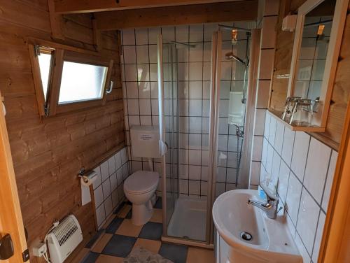 Baño pequeño con aseo y lavamanos en Ferienhaus 2, en Ludorf
