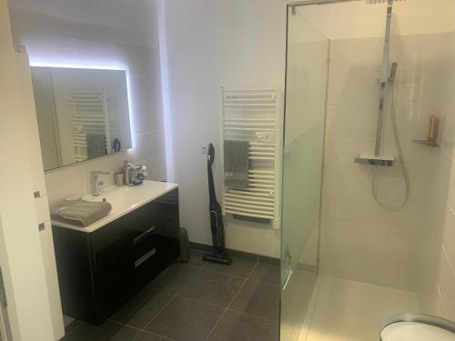 une salle de bain avec une douche en verre et un lavabo dans l'établissement Maison port et foret, à Anglet