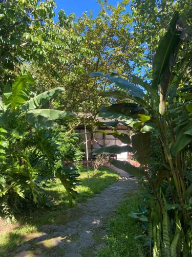 a path through a garden with trees and plants at Pousada do Pescador in Florianópolis