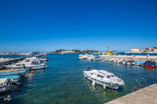a group of boats are docked in a harbor at Mind apartment and rooms in Poreč