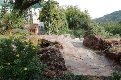 a cat standing on top of a stone path at Casa do Olho d'Água in Portalegre