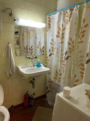 a bathroom with a sink and a shower curtain at Dena Apartment in Kumanovo