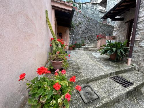 an alley with flowers and plants in a building at Casa Belvedere a Valle San Martino di Spoleto in Spoleto