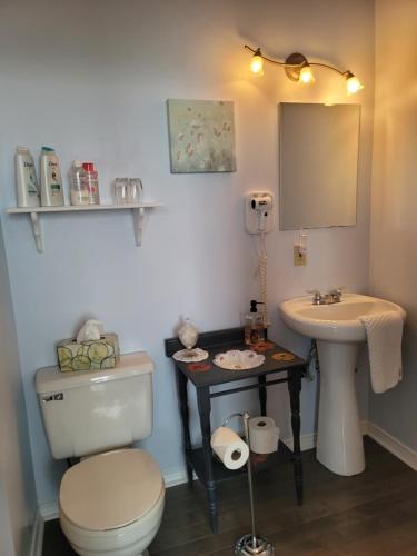 The Scotsman Inn في بيكتو: حمام مع مرحاض ومغسلة