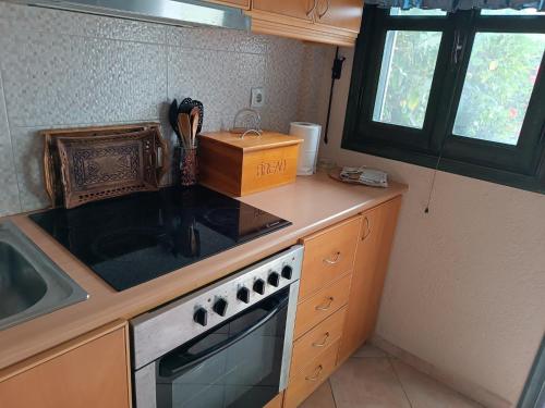 Kuchyň nebo kuchyňský kout v ubytování Seaside Apartment 2