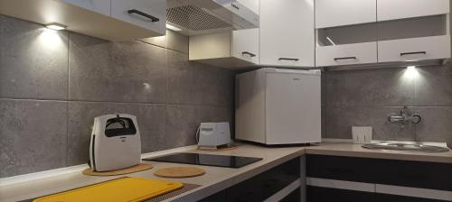uma cozinha com um lavatório e um frigorífico em Apartament Bieszczady em Myczkowce