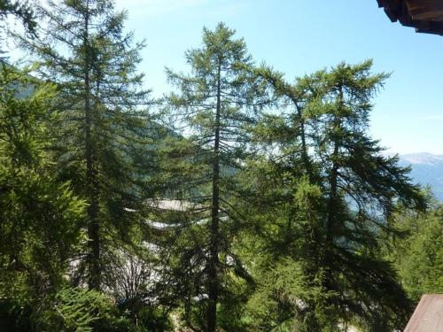 Studio confortable 4-6 pers, idéal famille, près télésiège, Les Orres - FR-1-322-209