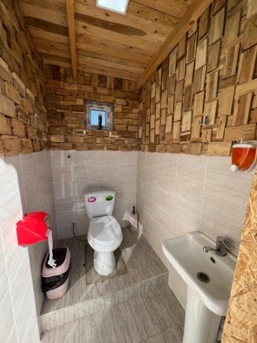 a bathroom with a toilet and a sink at Bosogo Yurt camp in Bokonbayevo