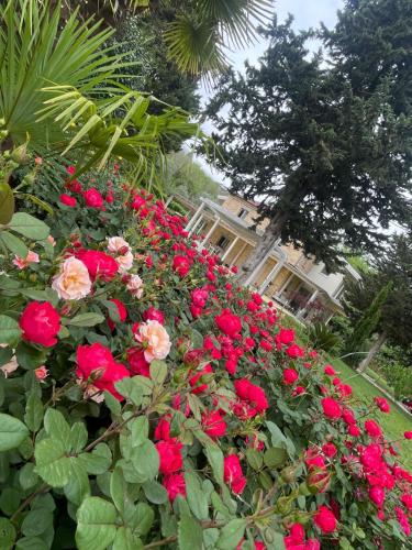 a garden of red roses with a building in the background at Villa Berenice House and Relax in San Giovanni Teatino