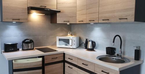 uma cozinha com um lavatório e um micro-ondas em Apartament Bieszczady em Myczkowce
