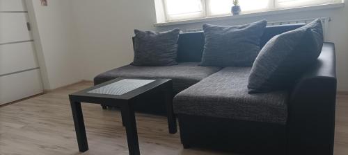 Ruang duduk di Apartament Bieszczady