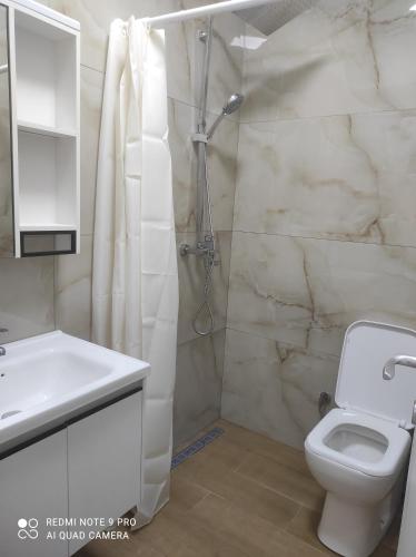 a bathroom with a shower and a toilet and a sink at Besmir's in Golem