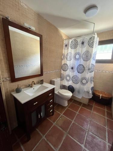 a bathroom with a sink and a toilet and a shower curtain at Villa Espiga in Benalmádena