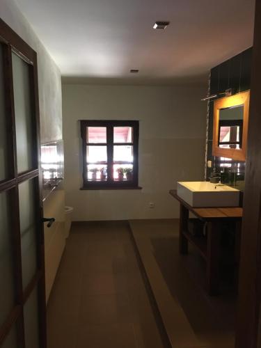 a bathroom with a sink and a mirror and a window at Holubník statečných žen králových in Luže