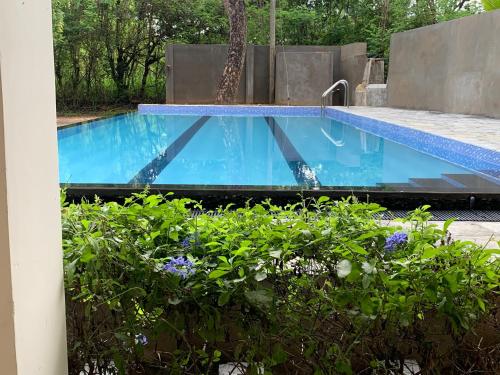 Swimming pool sa o malapit sa Sigiriya Rock Hide