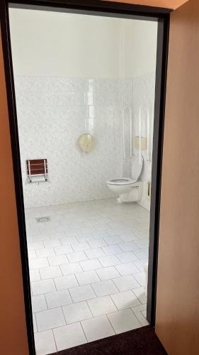 a white bathroom with a toilet and a sink at Grandhotel Nový Bor in Nový Bor