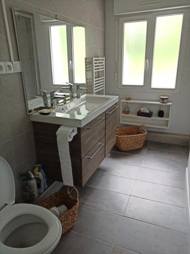 une salle de bain avec un lavabo et des toilettes et des fenêtres dans l'établissement Maison près des bois, à Joué-lès-Tours