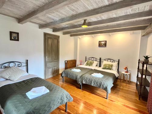a bedroom with two beds and a wooden floor at Resort Franko Spacious house with a pool in Obrov