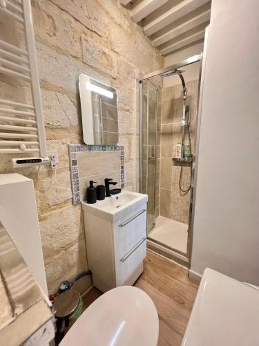 une salle de bain avec toilettes, lavabo et douche dans l'établissement Élégant studio Cœur du Centre ville avec WIFI, à Avignon