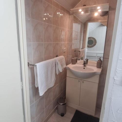 une salle de bain avec un lavabo et un miroir dans l'établissement L'étoile du Vercors #Accés Hôpital de La Tronche#, à Grenoble