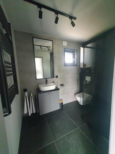 a bathroom with a sink and a toilet and a mirror at Domek nad jeziorem w Wilamowie in Małdyty