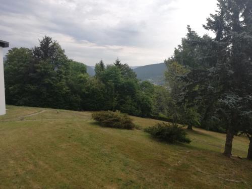 f2 gerardmer