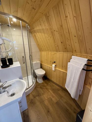 a bathroom with a toilet and a sink at Tatra Glamp Tarasówka in Poronin